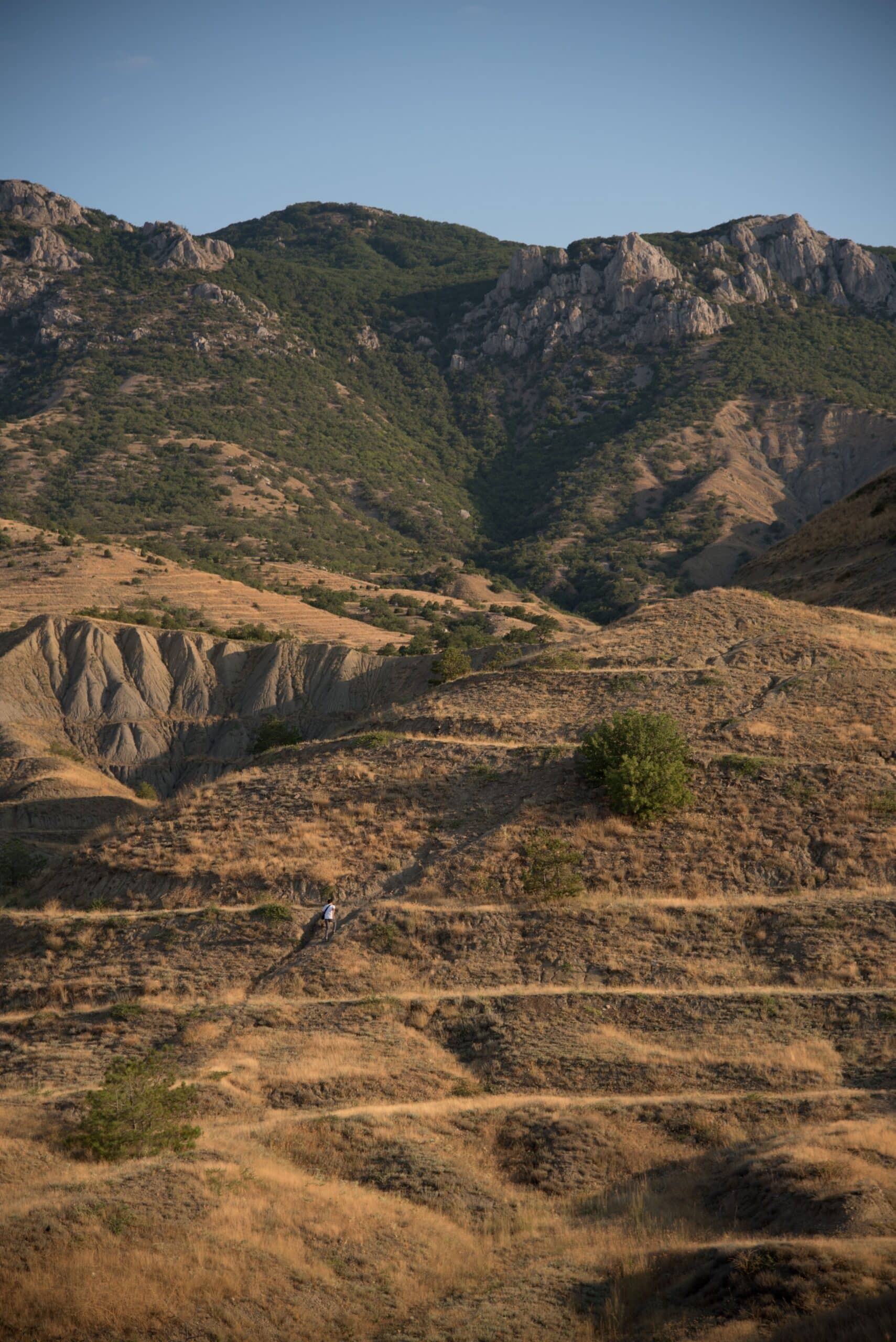 Mission launches Kayzen Specialty as new financial lines focused MGA